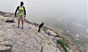67 In discesa con attenzione